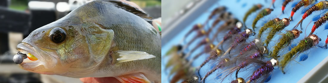 Derbyshire Fishing Guide