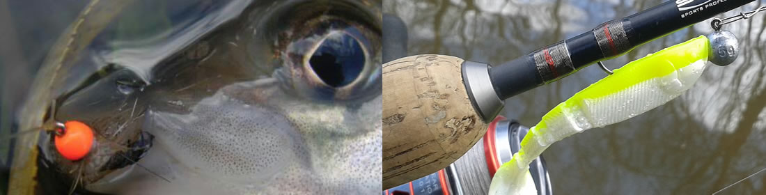Derbyshire Fishing Guide