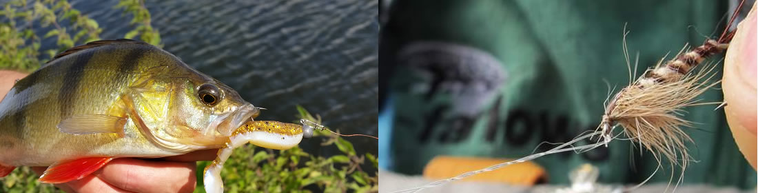 Derbyshire Fishing Guide