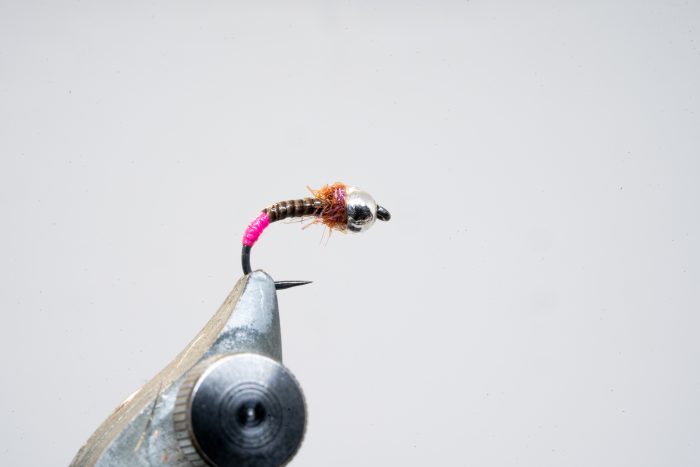 Mini Pink Quill Grayling Fly