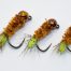 peeping caddis nymphs for trout and grayling