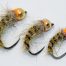 caddis grub nymph